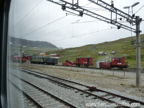 Tren de Oslo a Bergen